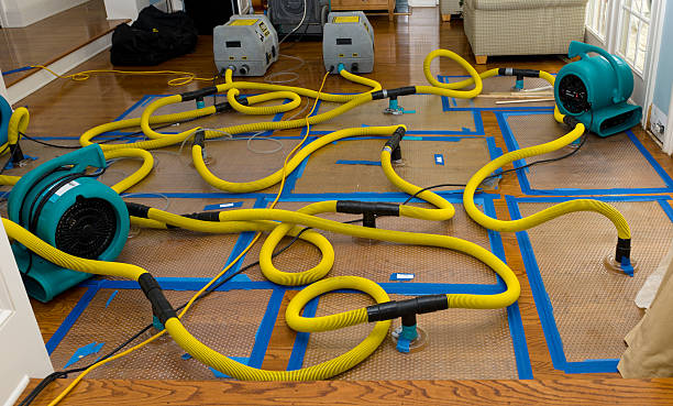 Professional Crawl Space Water Removal technician working in Clarksville, IN